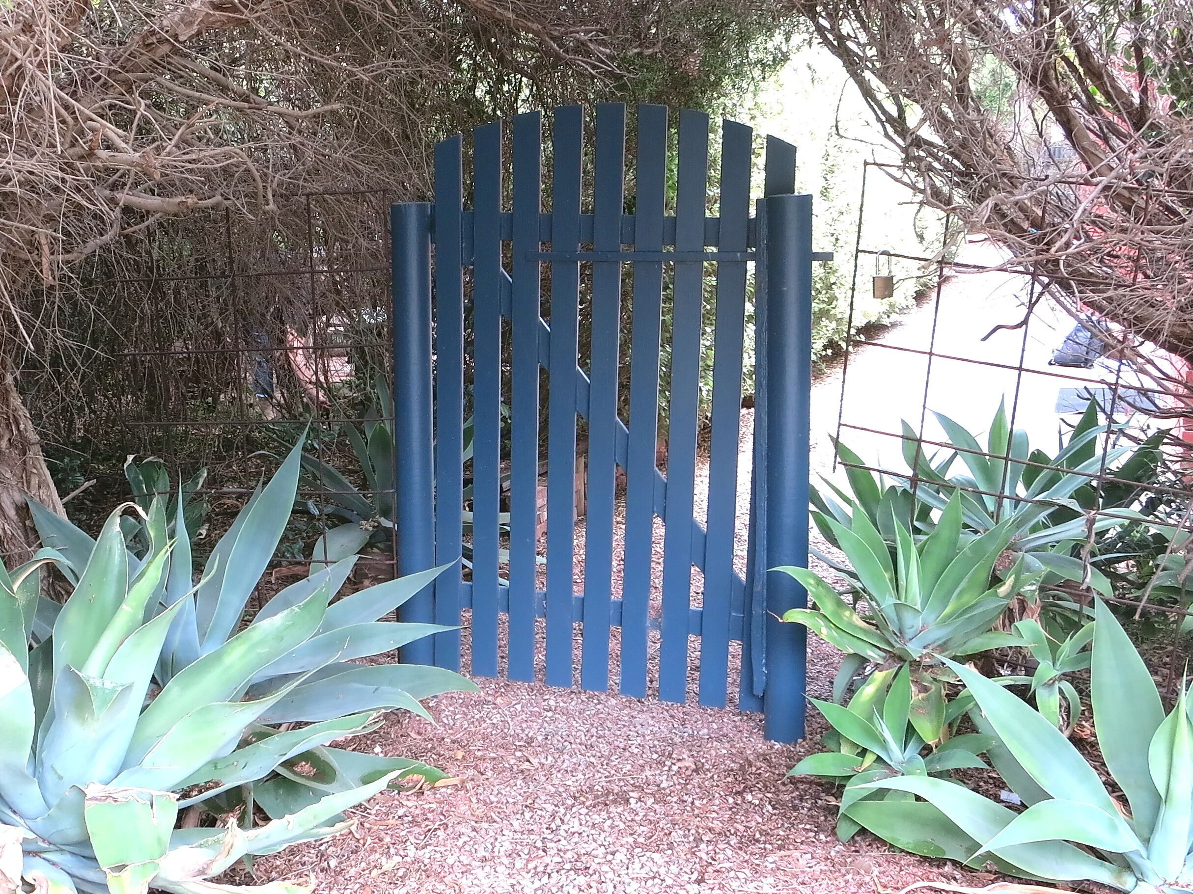 A2 @ Port Willy      — image 26