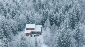 A snow-covered cabin with a wooden exterior, surrounded by dense forest. - Private 5BR Escape with Hot Tub & Games, Near Lakes, Hikes & Water Parks (Long Pond)