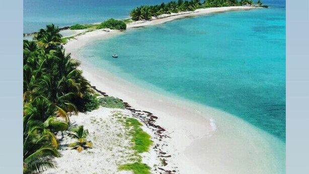A beach with clear turquoise water, white sand, and palm trees. - Just in-November dates have just become available  (L’Esterre)