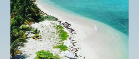 Plage à proximité, chaises longues, serviettes de plage