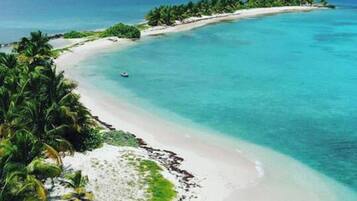 Una playa con agua turquesa cristalina, arena blanca y palmeras.