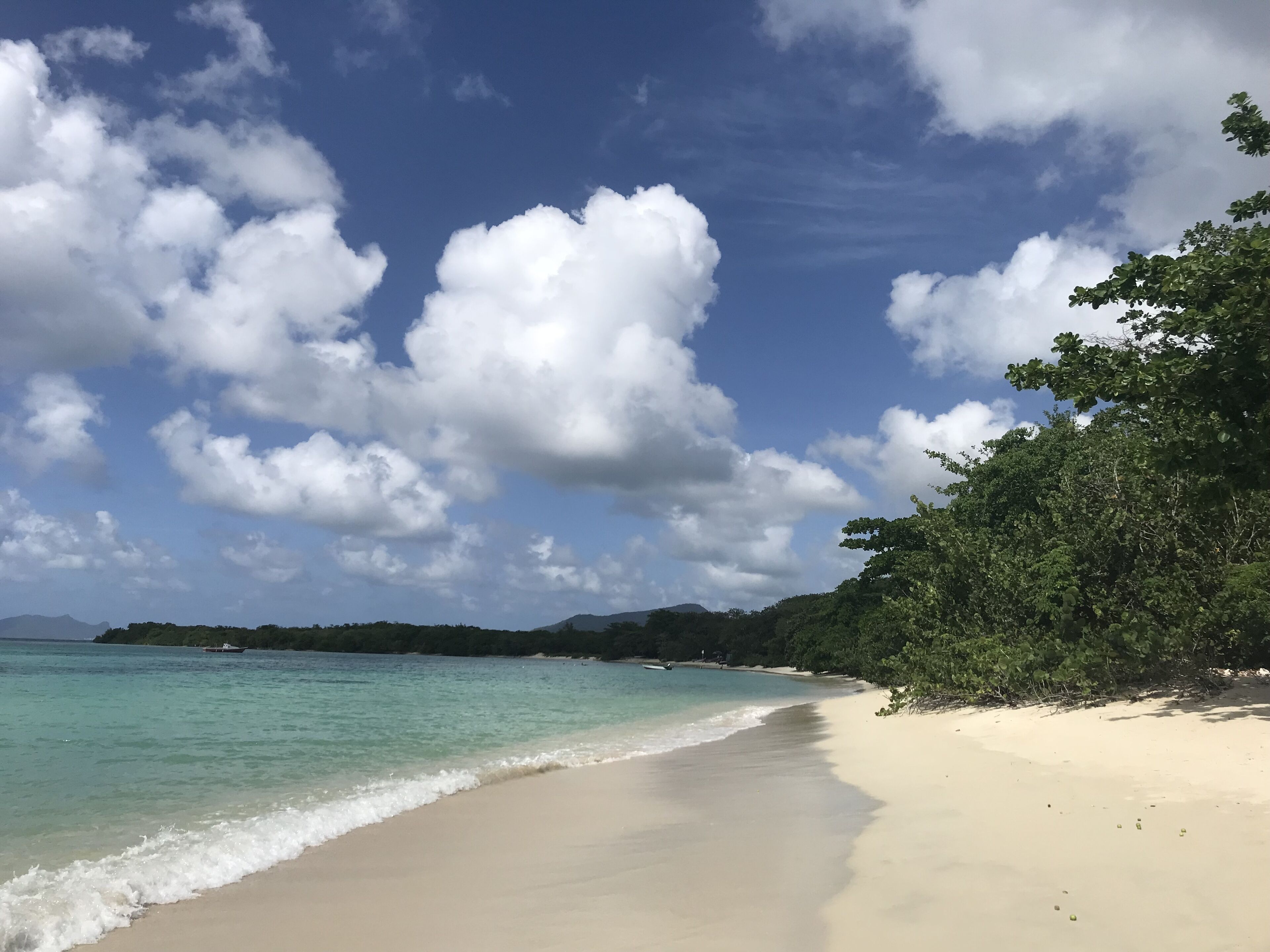 A beach with clear turquoise water, white sand, and lush green foliage.