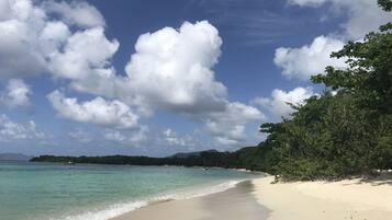 A beach with clear turquoise water, white sand, and lush green foliage.