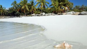 Beach nearby, sun loungers, beach towels - Voted best beach house in 2026 by us (L’Esterre)