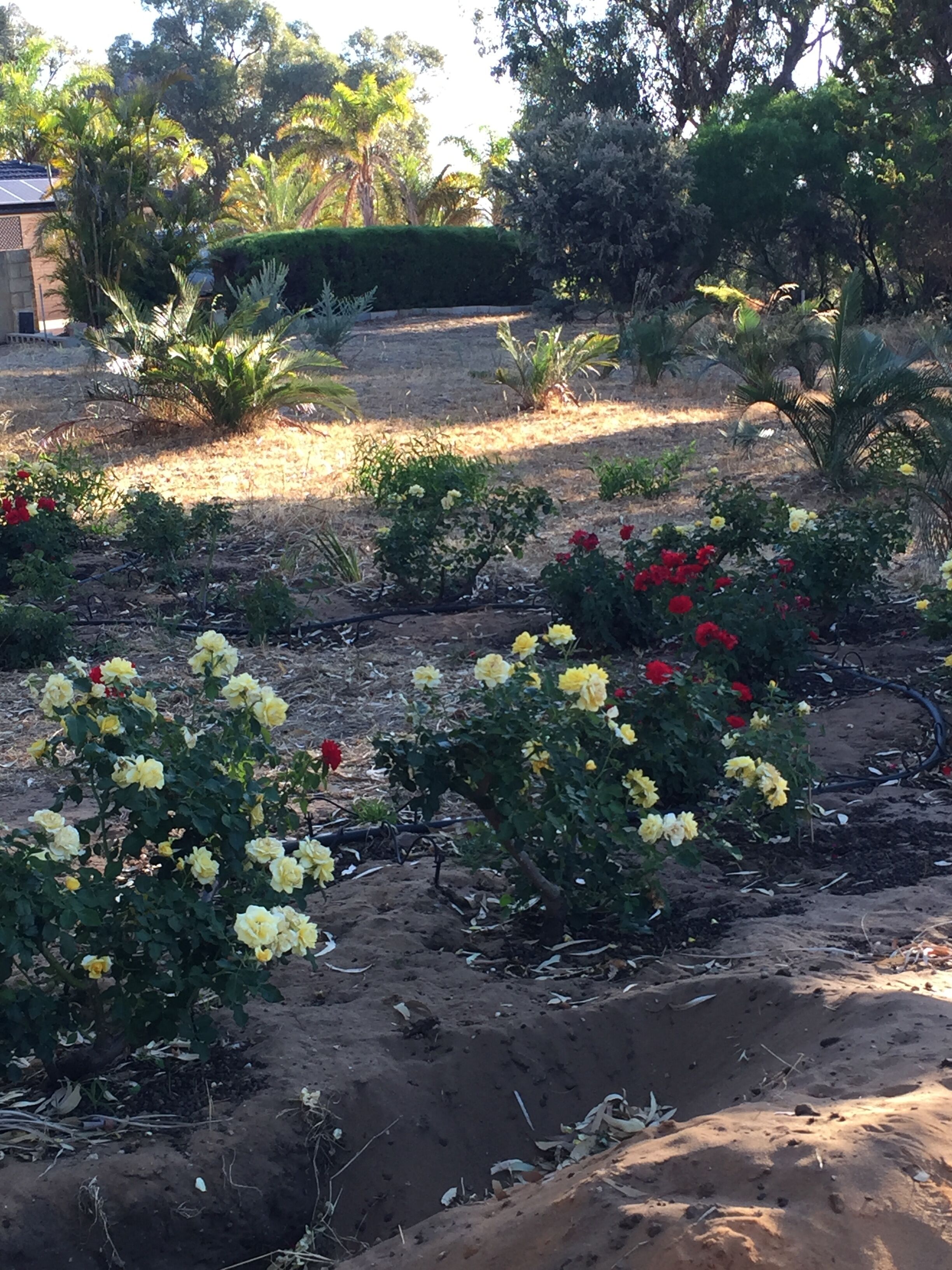 Charming Hilltop Cottage: Lake view with lots of garden around — image 11