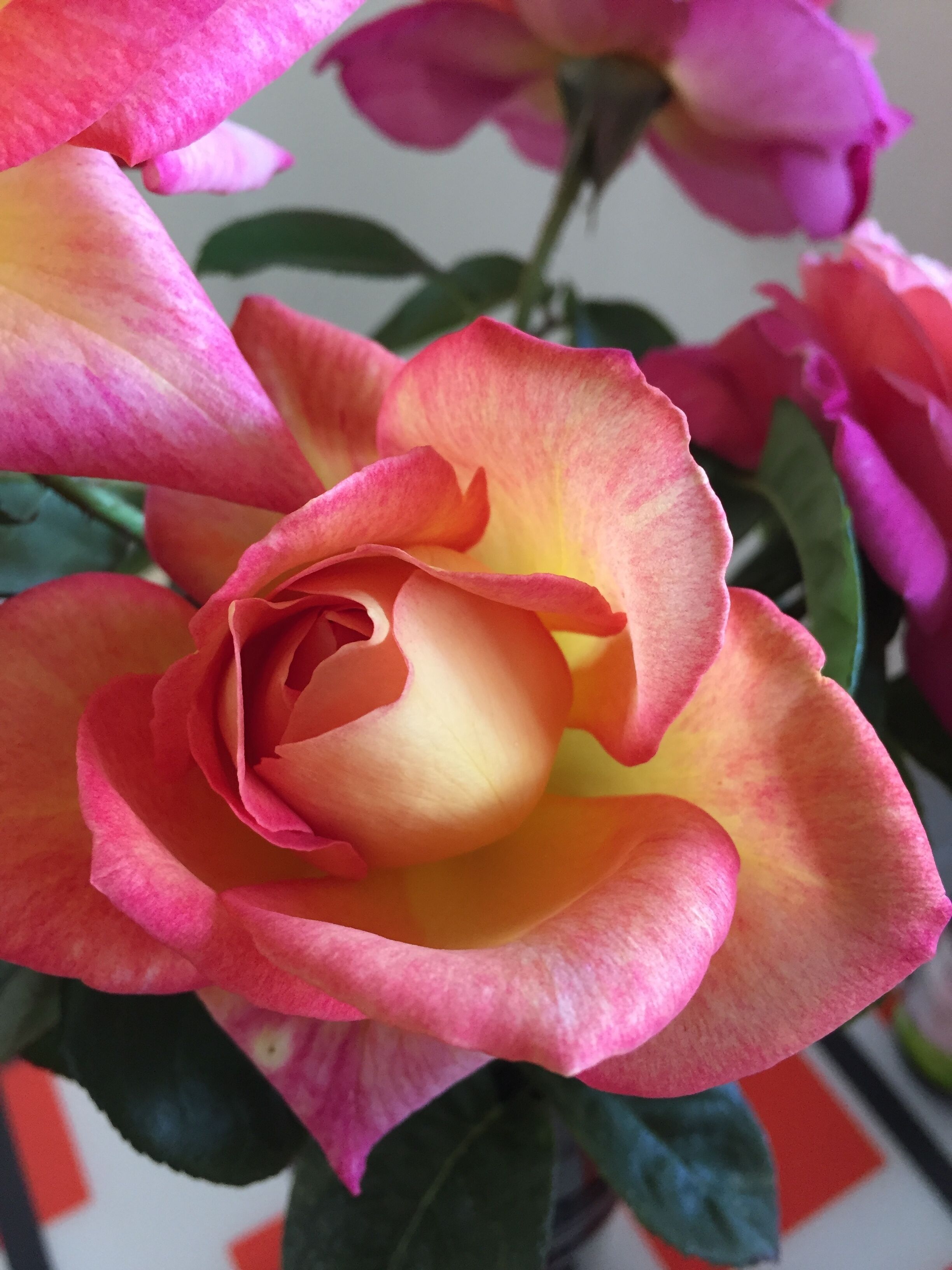 Charming Hilltop Cottage: Lake view with lots of garden around — image 14