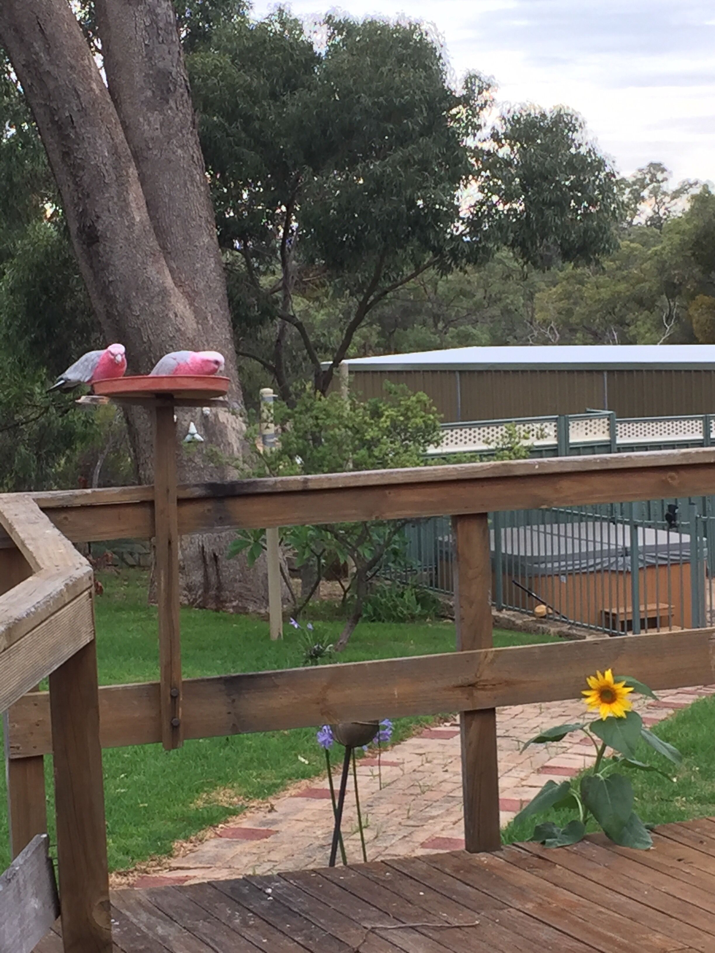 Charming Hilltop Cottage: Lake view with lots of garden around — image 4