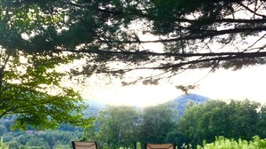 Two chairs under a tree with a view of a forest and mountains. - Private Suite with a Sweet View. Spacious, close to town, dog friendly (Shelburne Falls)