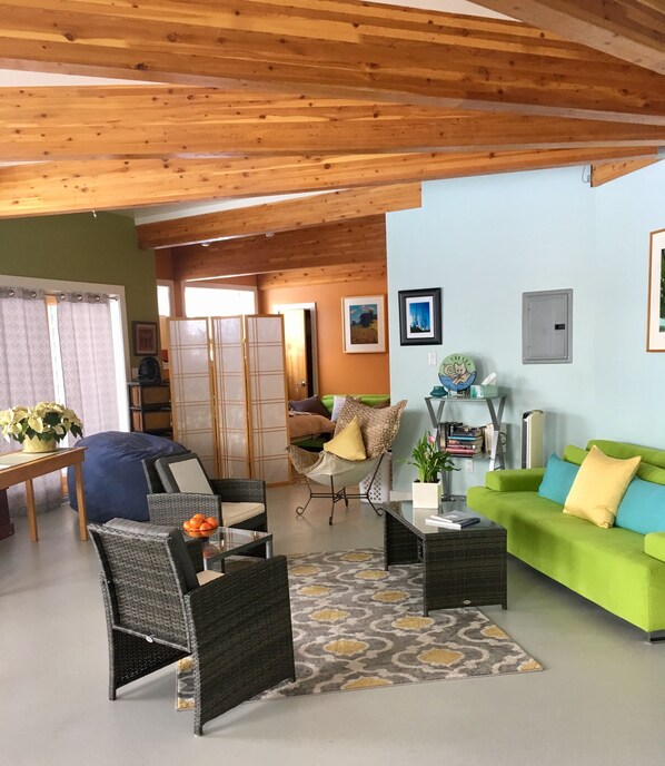 Älytelevisio, kirjoja