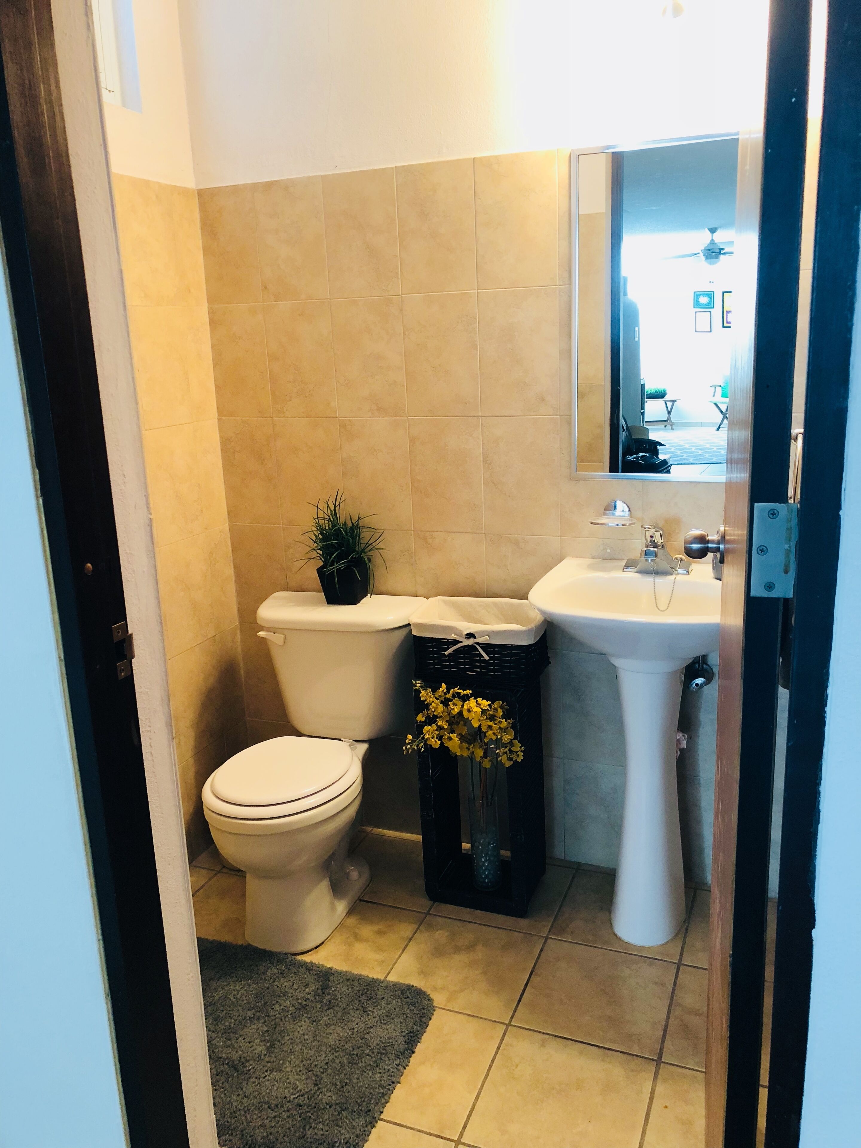 A bathroom with a toilet, sink, and mirror. There is a small plant and a trash bin.