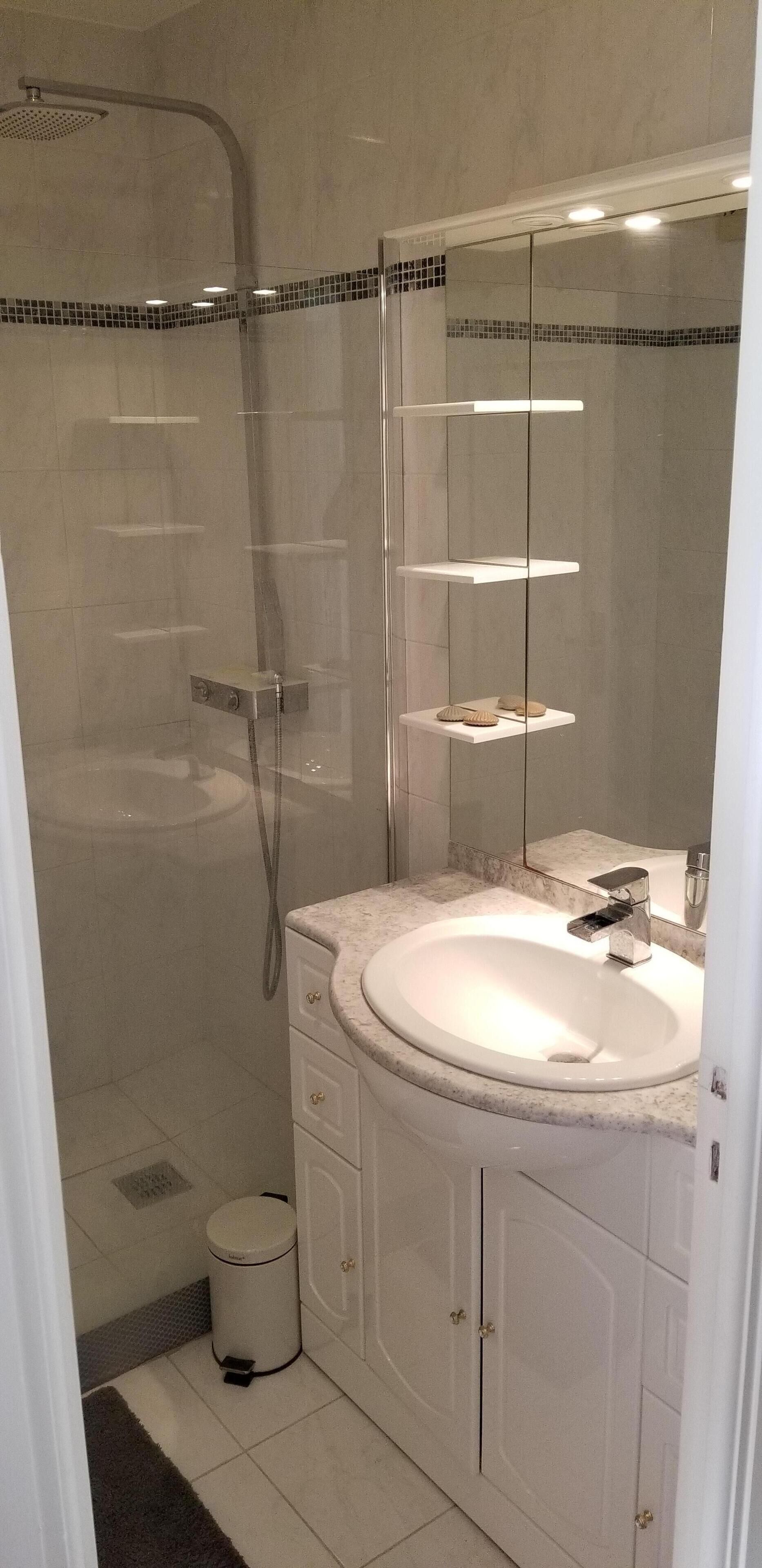 Un bagno moderno con doccia vetrata, lavandino bianco con rubinetteria cromata e uno specchio sopra il lavandino.