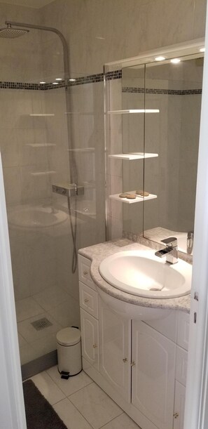 Chuveiro, secador de cabelo, toalhas de banho, papel higiênico