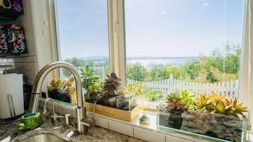 A kitchen with a sink, a window, and various potted plants.