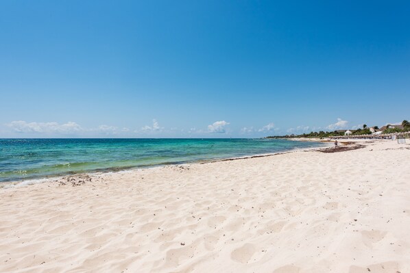 On the beach, sun-loungers - 2BD  5-guest Unique Condo Beachfront (Tulum)