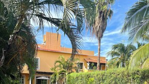 A swimming pool with a tiled edge, surrounded by a well-maintained lawn and palm trees. - Cancun - Soho (Cancun)