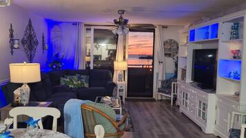 智能电视、壁炉、DVD 播放器、书