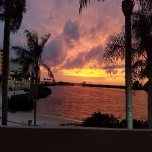 A sunset view over a body of water with palm trees and buildings in the foreground.