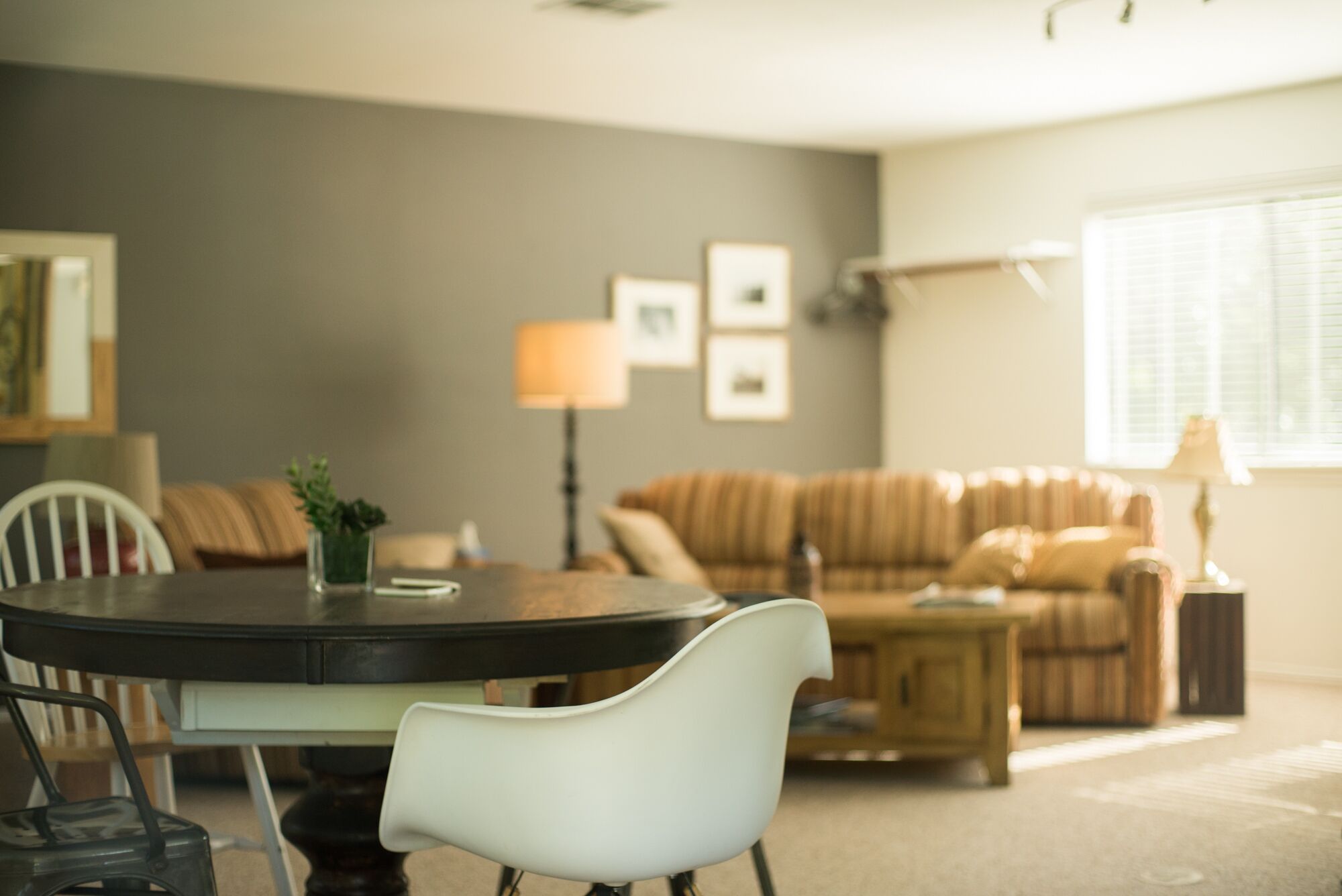 Treetop Studio - NW Houston Area