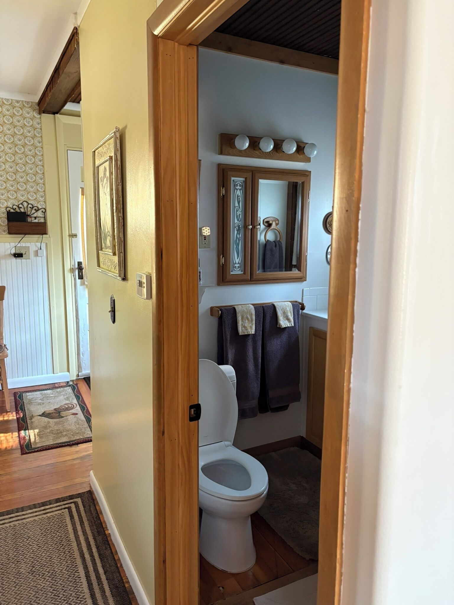 Une salle de bain équipée de toilettes, d’un miroir et d’un porte-serviettes.
