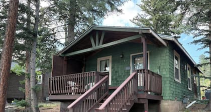 Cozy & Comfortable 1BD Cabin in Nederland ~ Walk to Downtown