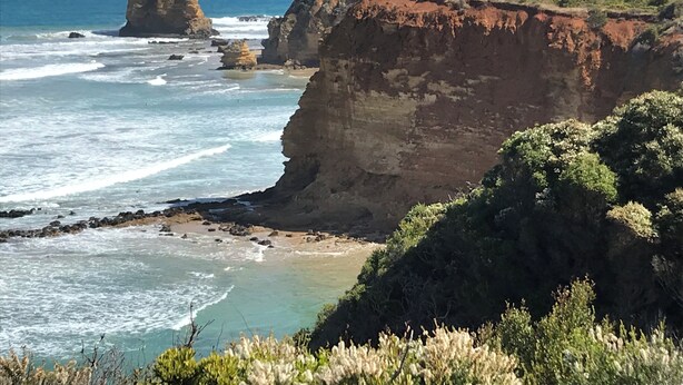 Beach nearby - Aireys beach house beauty (Aireys Inlet)
