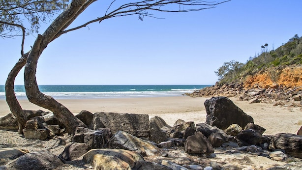 Une plage avec de gros rochers, un arbre et une vue dégagée sur l’océan.