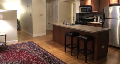 Executive-huoneisto historiallisessa kiinteistössä Albanyn keskustassa