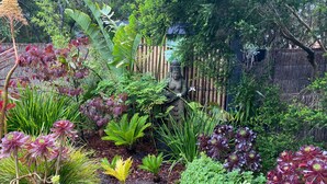 A garden with various plants, a decorative rock, and a statue. - Aireys Oasis (Aireys Inlet)