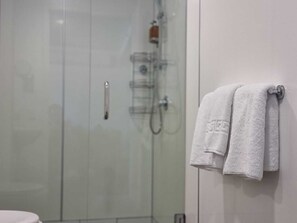 Regadera, amenidades de baño ecológicas, secadora de cabello, toallas 