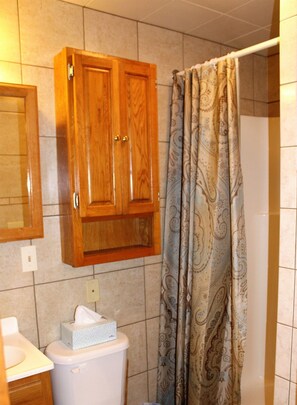 Ensemble baignoire-douche, séchoir à cheveux, serviettes fournies, savon