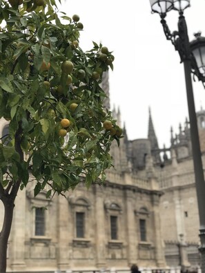 Exterior - Better than home trust me🌞 unless you're Dorothy :) (Nuuk)