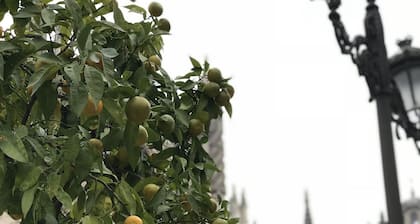 QA ID 70 60 ă 㣠PID-7607037 ăč ă edit headlin