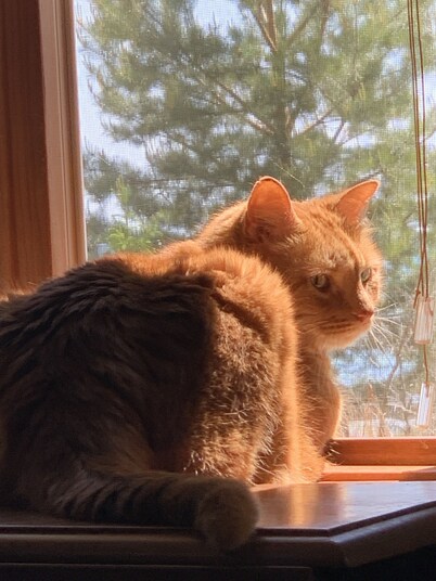 Better than home trust me🌞 unless you're Dorothy :)