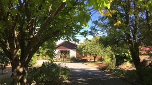 Un quartier résidentiel comprenant une maison, une allée et des arbres environnants.