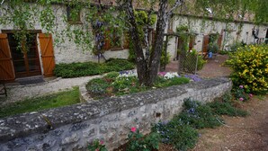 Un mur de pierre bordé d’un jardin où poussent différentes sortes de fleurs et un arbre.