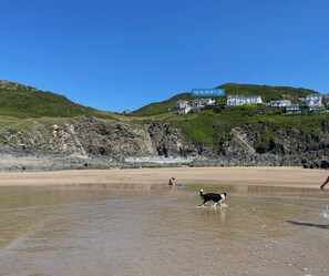Sun-loungers
