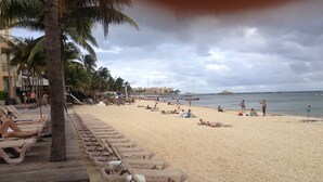 Une plage bordée de rangées de transats et de palmiers.