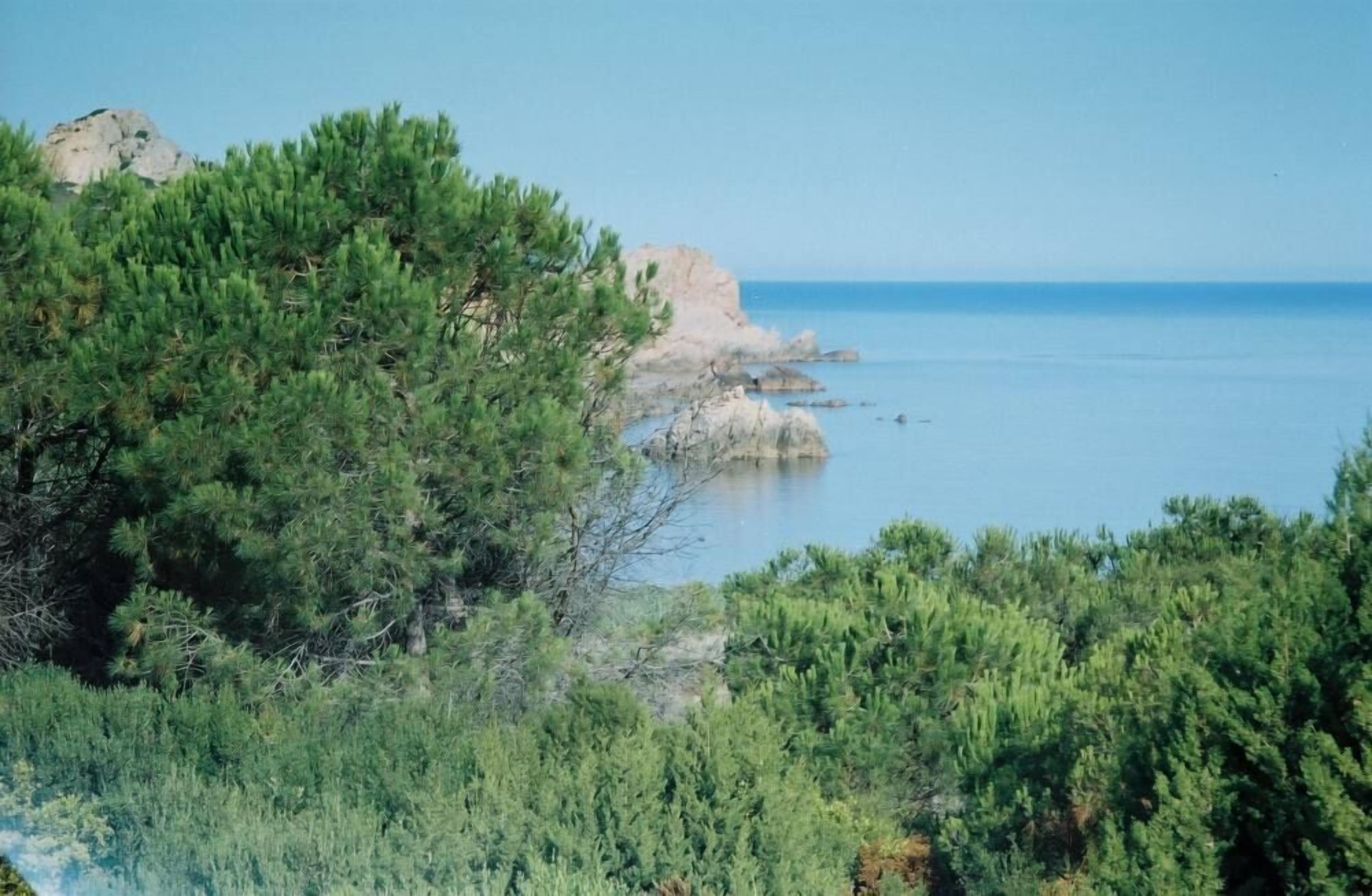 A coastal landscape with dense green vegetation and rocky cliffs.