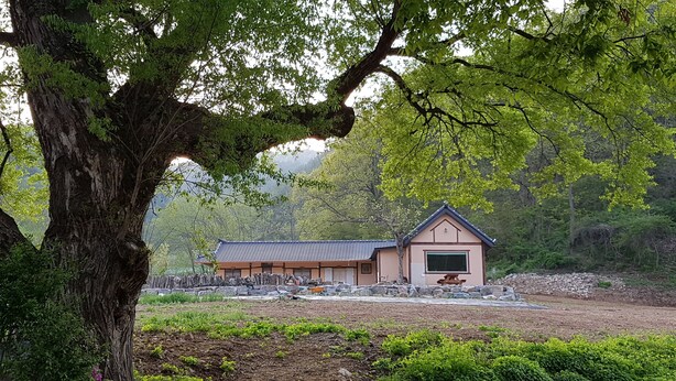 A traditional Japanese building with a tiled roof, surrounded by lush greenery and a large tree.