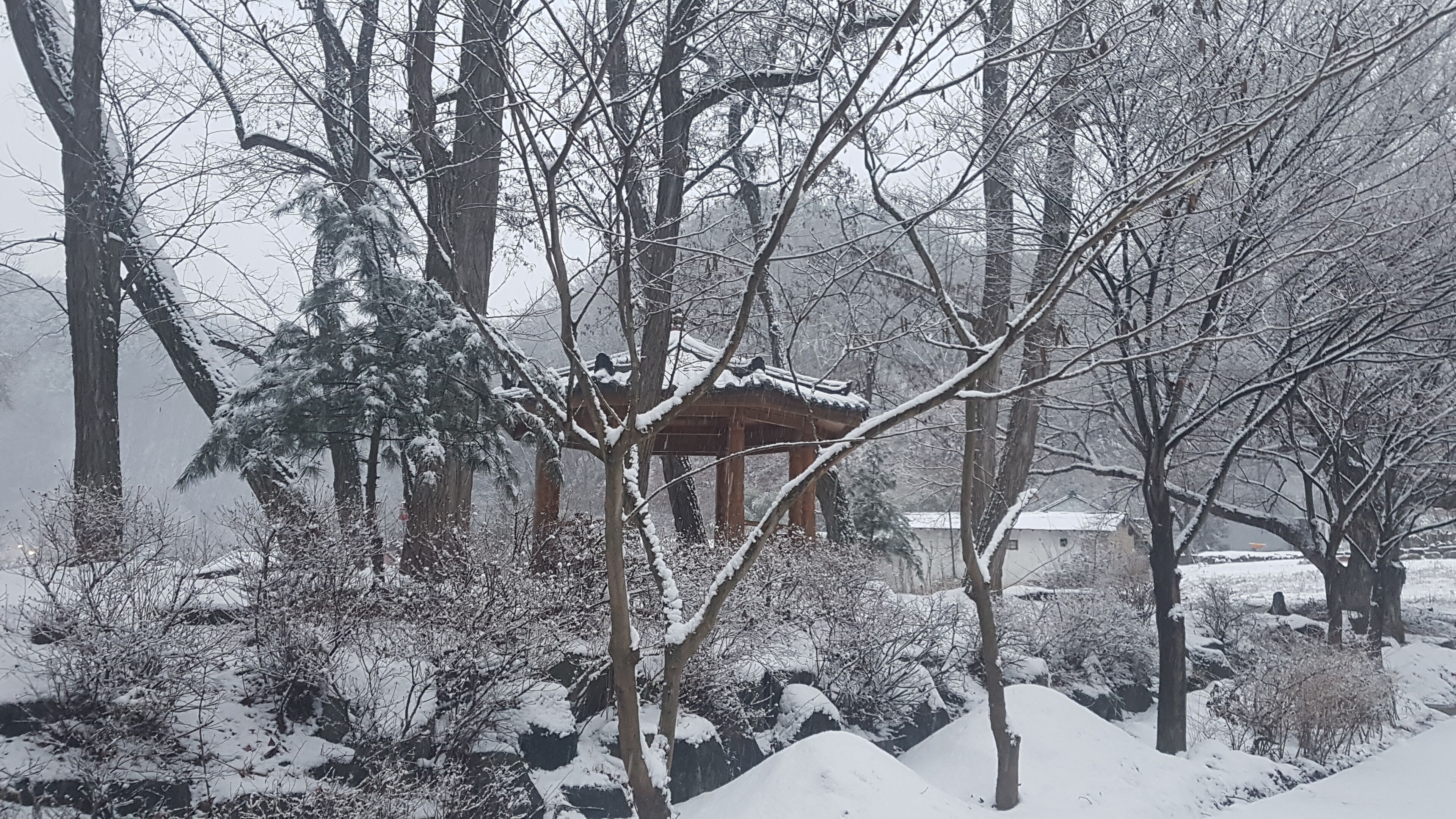Een klassiek houten paviljoen, omgeven door sneeuwbedekte bomen en struiken.