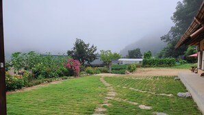 A garden with a stone pathway leading to a building.