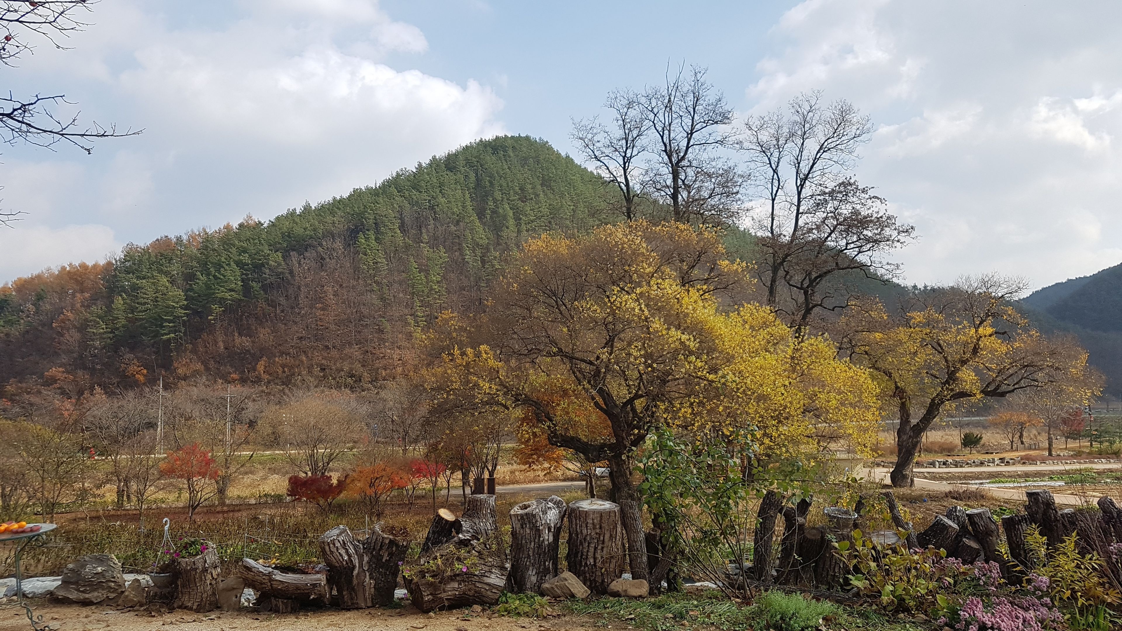 A mountainous landscape with autumn foliage, a rustic fence, and a table with fruit.
