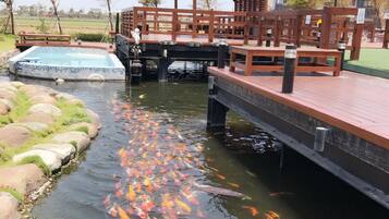 Basic-Doppelzimmer | Balkon