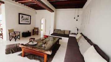 Smart TV, DVD player, books, video library