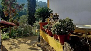 Un patio con plantas en macetas, un muro blanco y un techo de tejas.