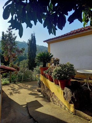 Un patio con plantas en macetas, un muro blanco y un techo de tejas.