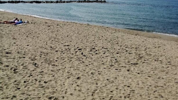 A beach with a rocky breakwater in the distance. - Apartment/ flat - Marina di Massa (Marina di Massa)