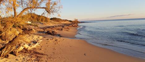 Beach nearby, beach towels
