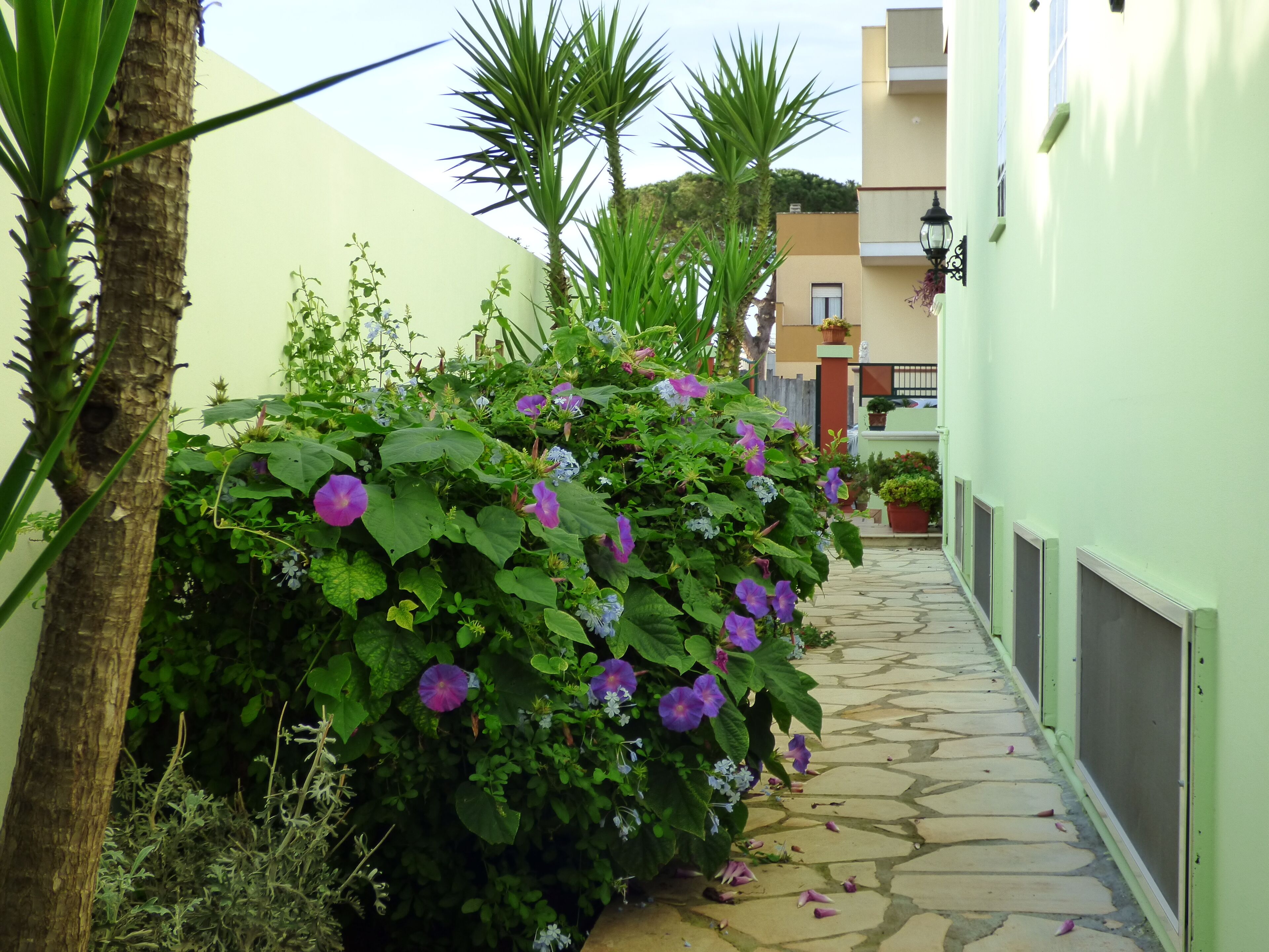 Parco della struttura