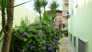 Un étroit sentier de pierre bordé d’une végétation luxuriante et de plantes en fleurs.